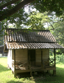 Blog