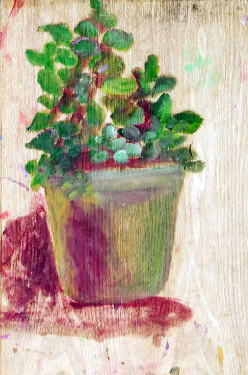 Bonsai