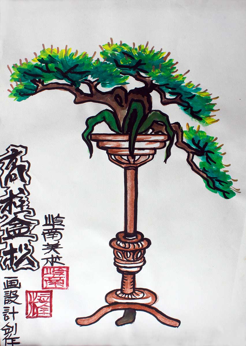 Pine Tree Bonsai