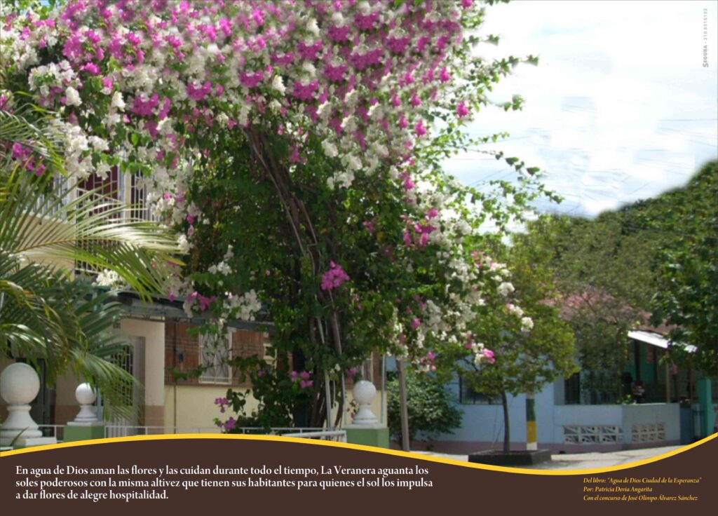 The residents of Agua de Dios tend flowers throughout the year.