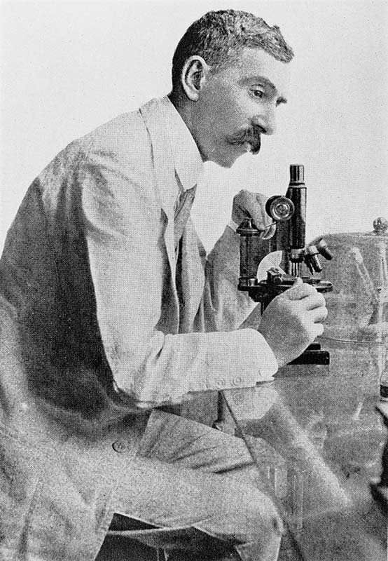 Sir Leonard Rogers