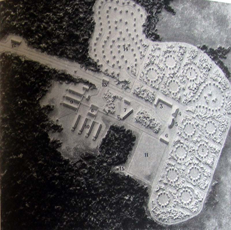 The Model Asylum