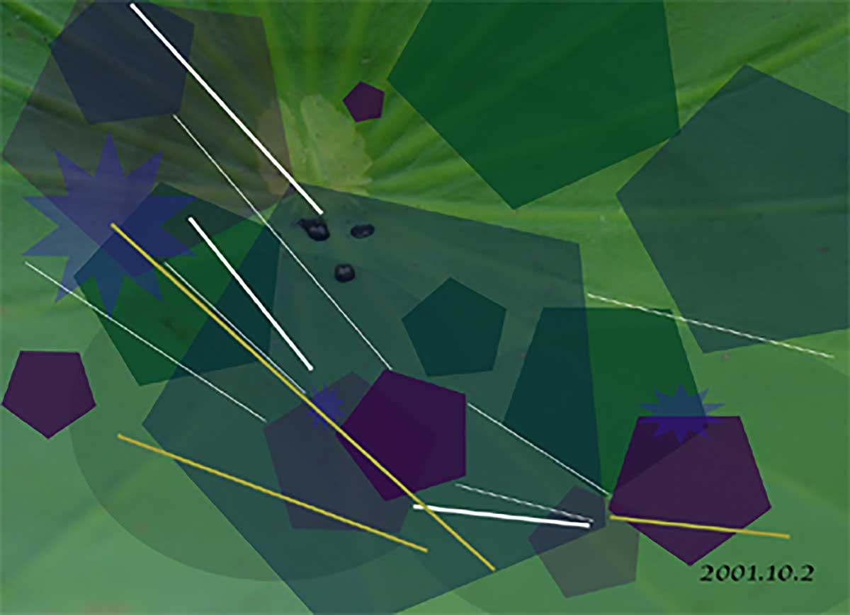 Abstract Lotus