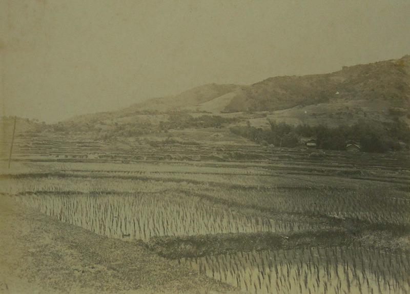 Farmland in the Taihoku colony