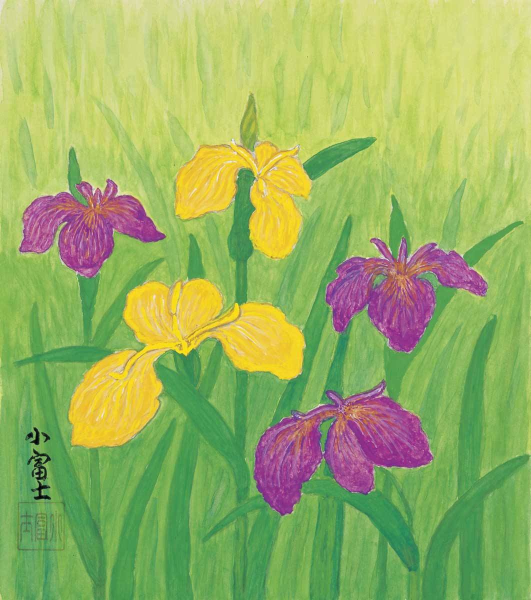 Iris