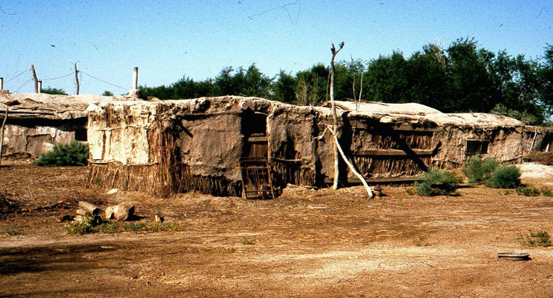 The leprosarium at Krantau, Uzbekistan. In 1996 these mud huts housed 105 patients.